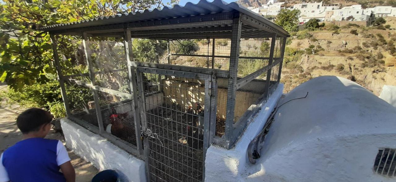 Cortijo Ferre, A Los Pies Del Castillo La Atalaya De Níjar Eksteriør billede