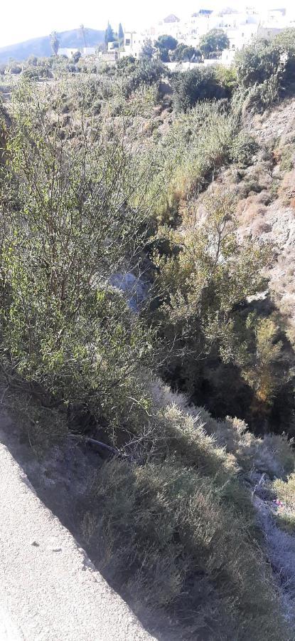 Cortijo Ferre, A Los Pies Del Castillo La Atalaya De Níjar Eksteriør billede
